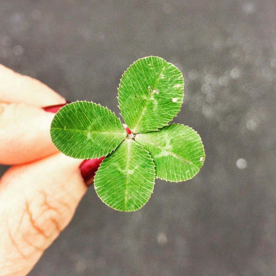 Women's History Month: Luck of the Not-So Irish Granny