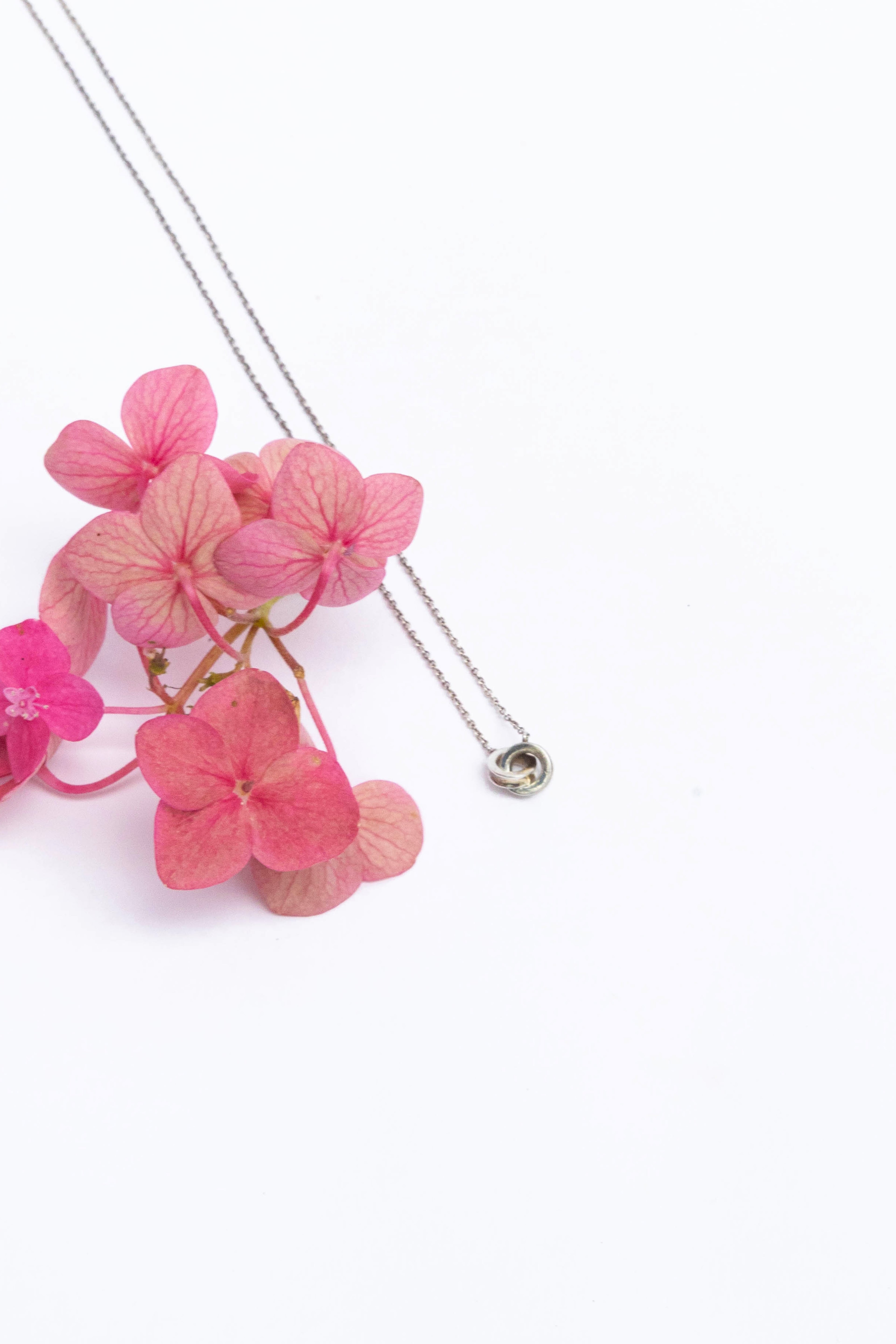 This and That Interlocking Circle Necklace